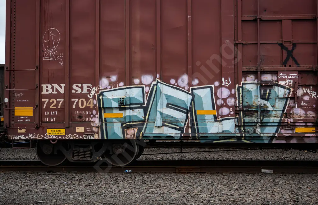 BNSF727704 - NORTH-AMERICA