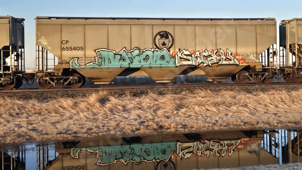 CP655405 - NORTH-AMERICA