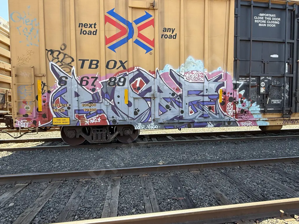TBOX667891 - NORTH-AMERICA