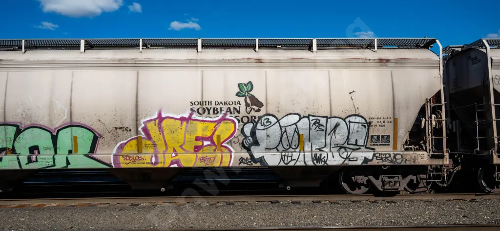 WFRX856286 - NORTH-AMERICA