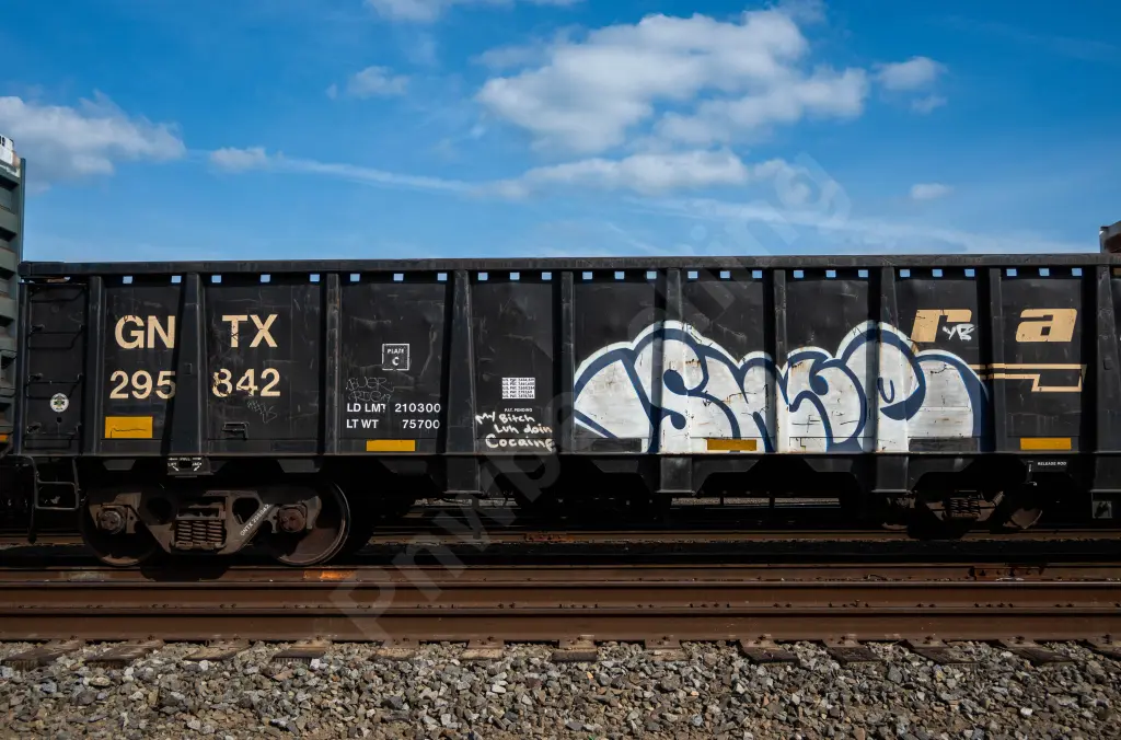 GNTX295842 - NORTH-AMERICA