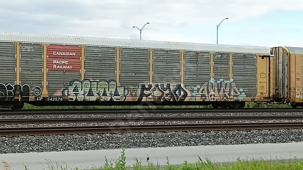 CP542574 - NORTH-AMERICA