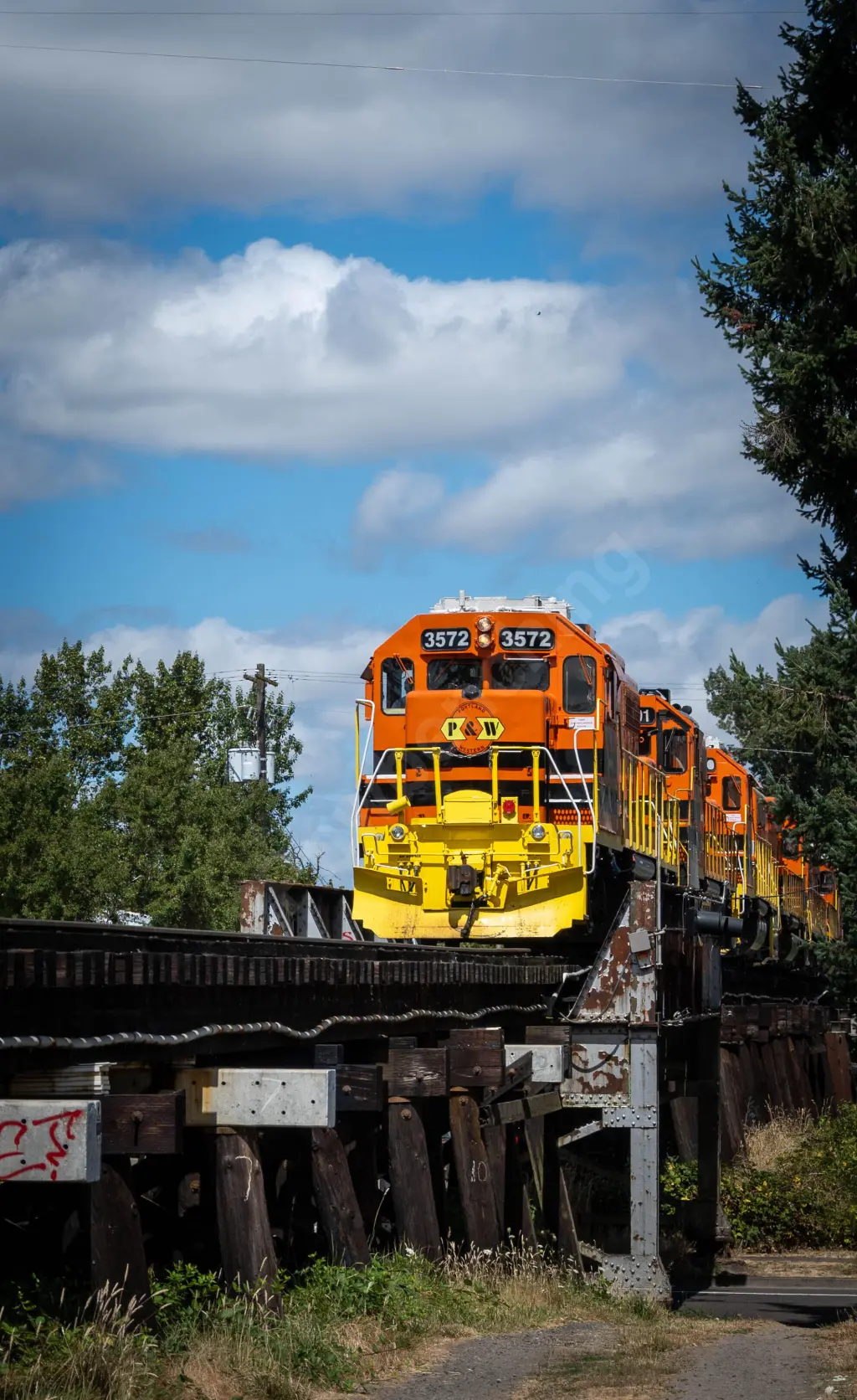 PNWR3572 - NORTH-AMERICA