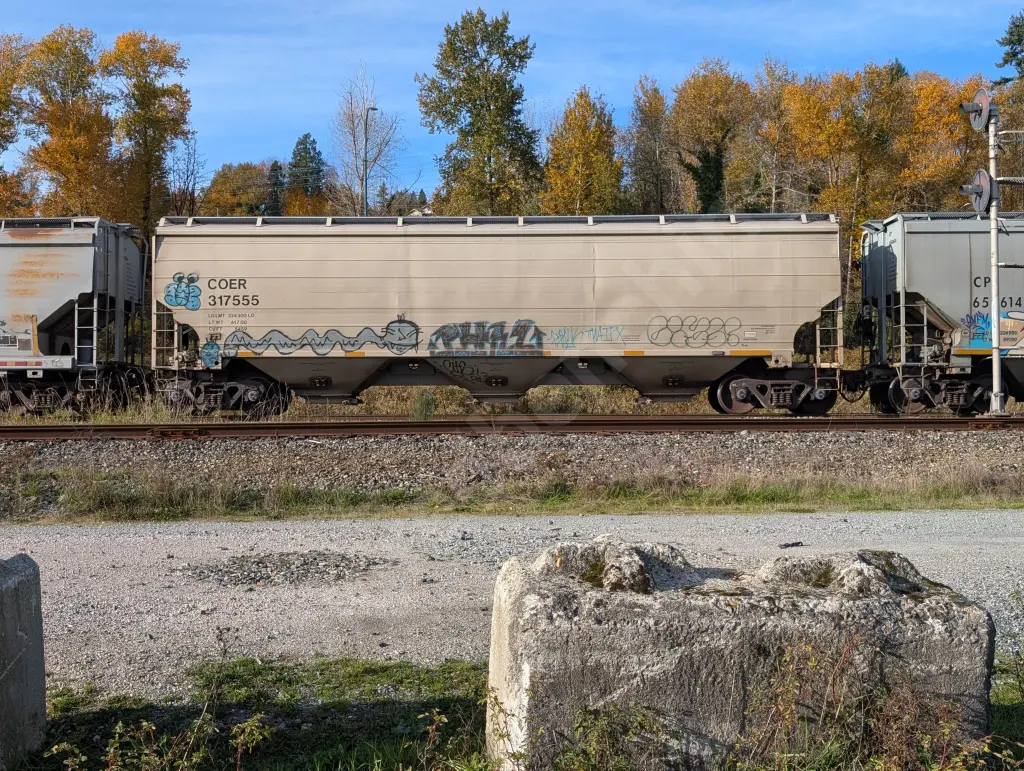 COER317555 - NORTH-AMERICA
