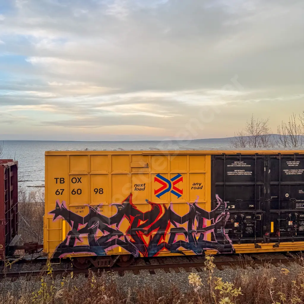TBOX676098 - NORTH-AMERICA