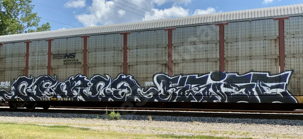 TTGX991643 - NORTH-AMERICA