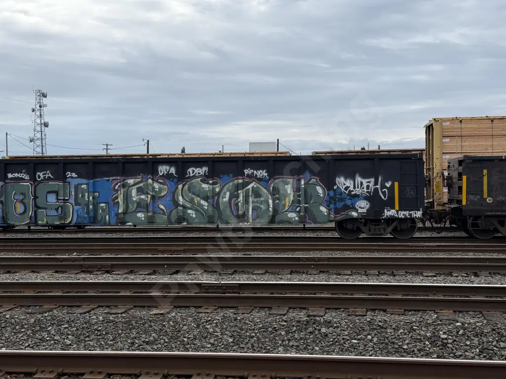 CHTT723463 - NORTH-AMERICA