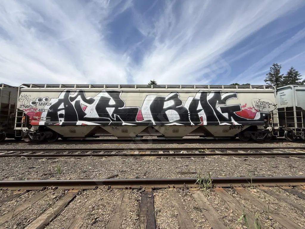 MWCX482124 - NORTH-AMERICA