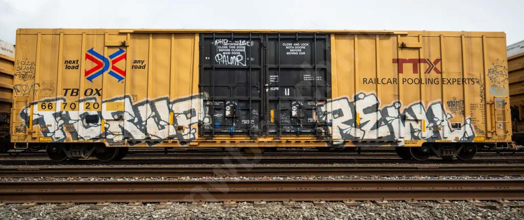 TBOX667020 - NORTH-AMERICA