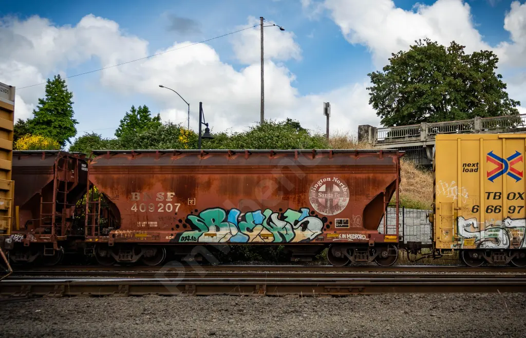 BNSF409207 - NORTH-AMERICA