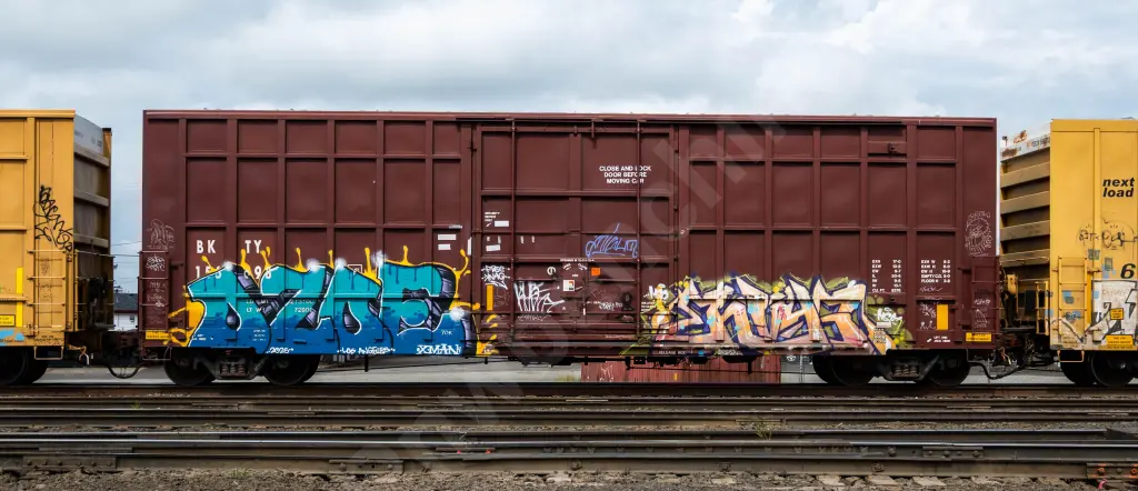 BKTY156698 - NORTH-AMERICA