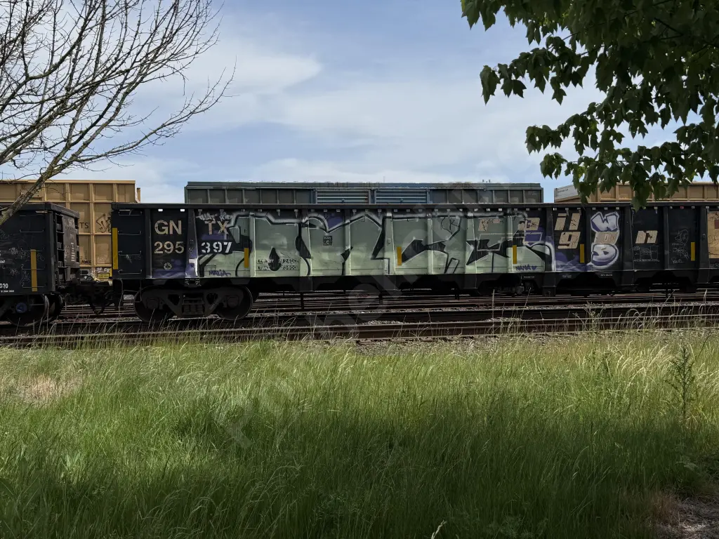 GNTX295397 - NORTH-AMERICA