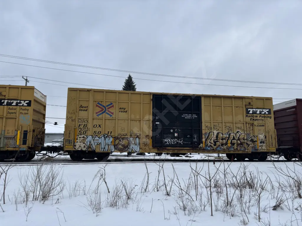 FBOX505011 - NORTH-AMERICA