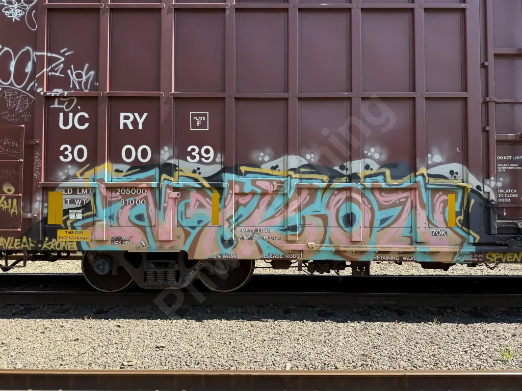 UCRY300039 - NORTH-AMERICA