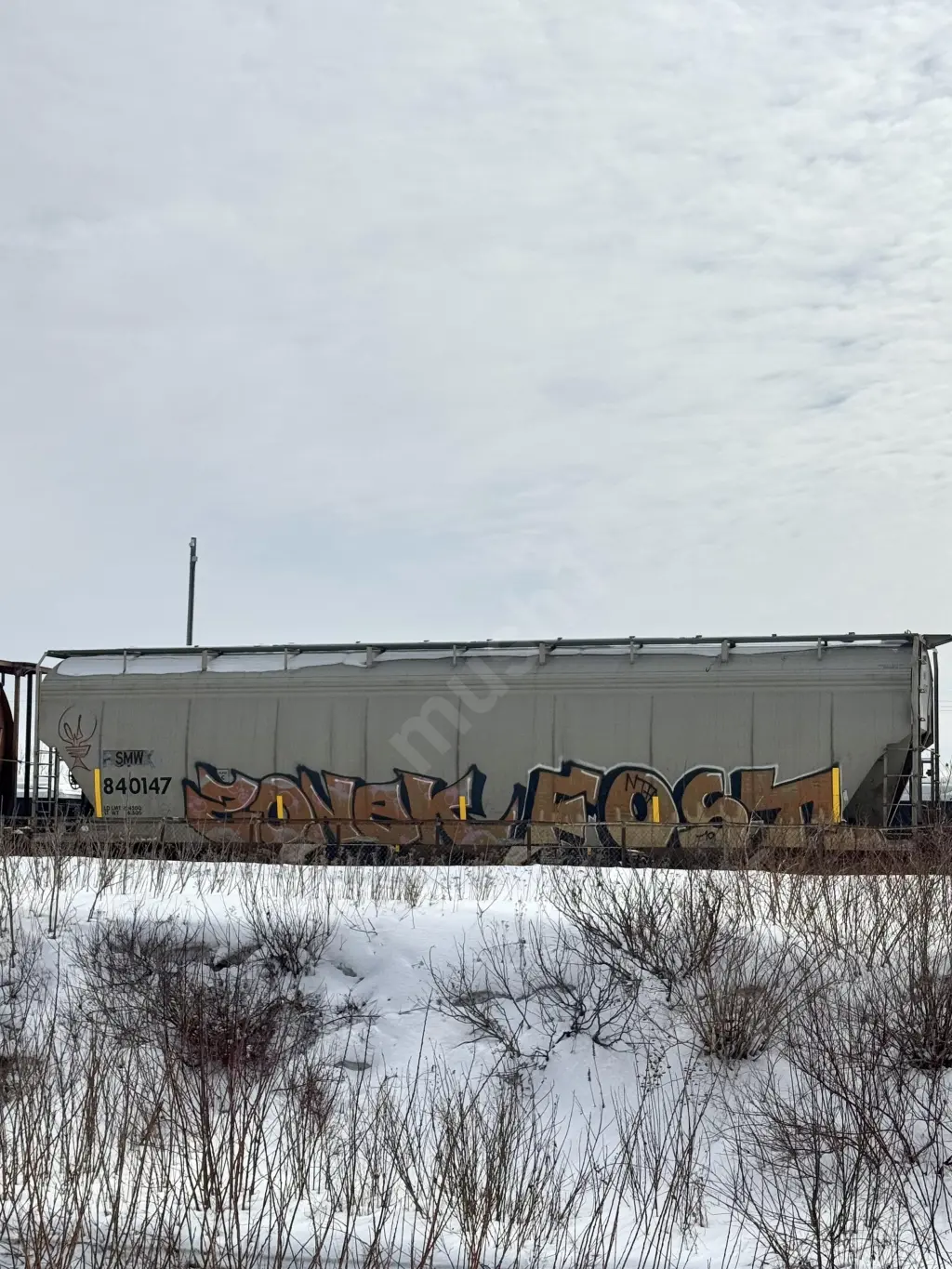 SMW840147 - NORTH-AMERICA