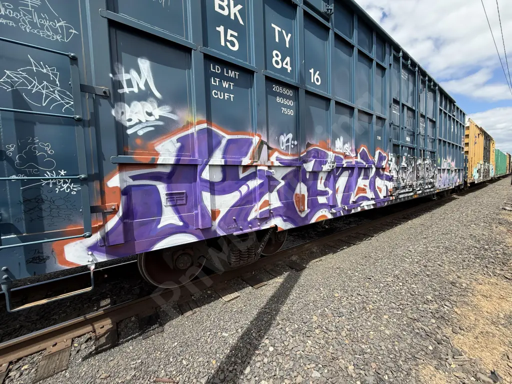 BKTY158416 - NORTH-AMERICA
