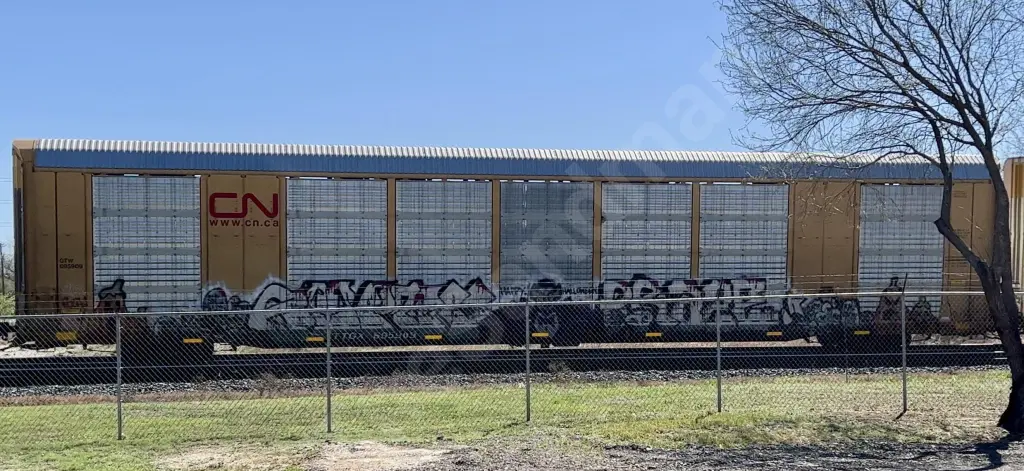 TTGX805909 - NORTH-AMERICA