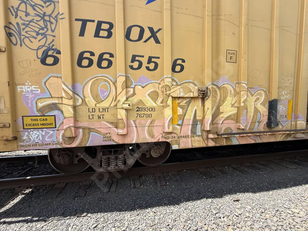TBOX666556 - NORTH-AMERICA
