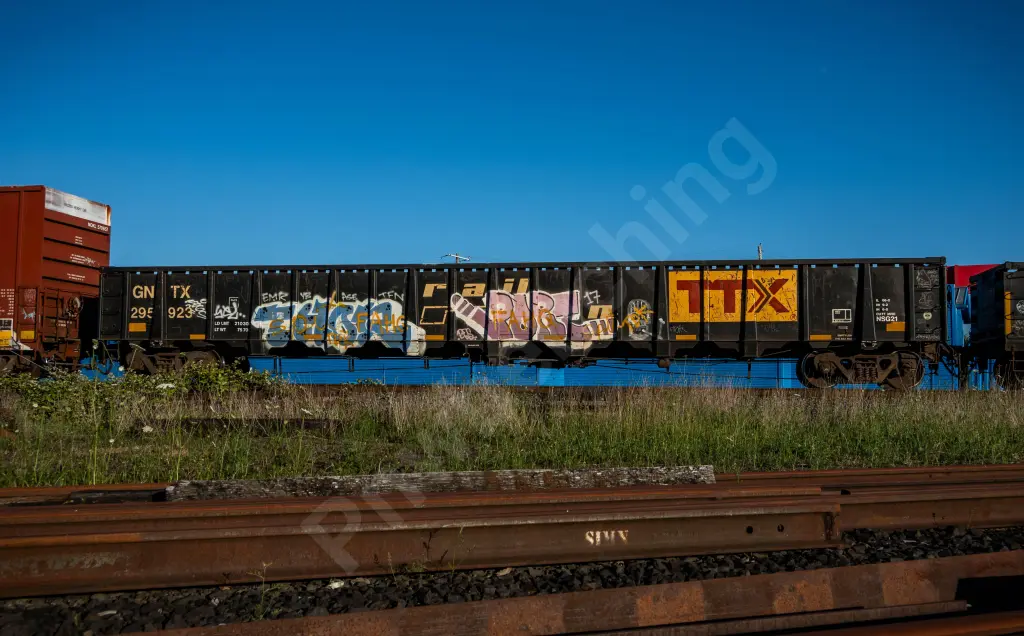 GNTX295923 - NORTH-AMERICA