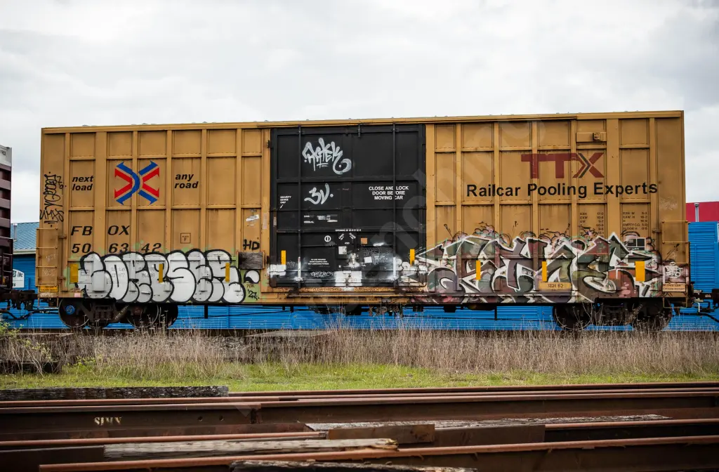 FBOX506342 - NORTH-AMERICA