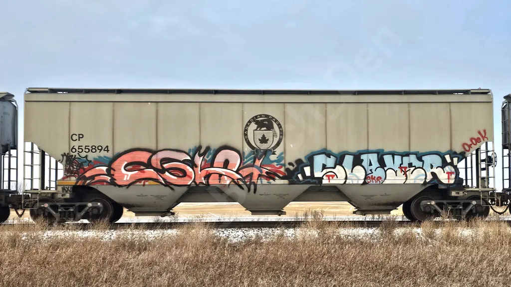CP655894 - NORTH-AMERICA