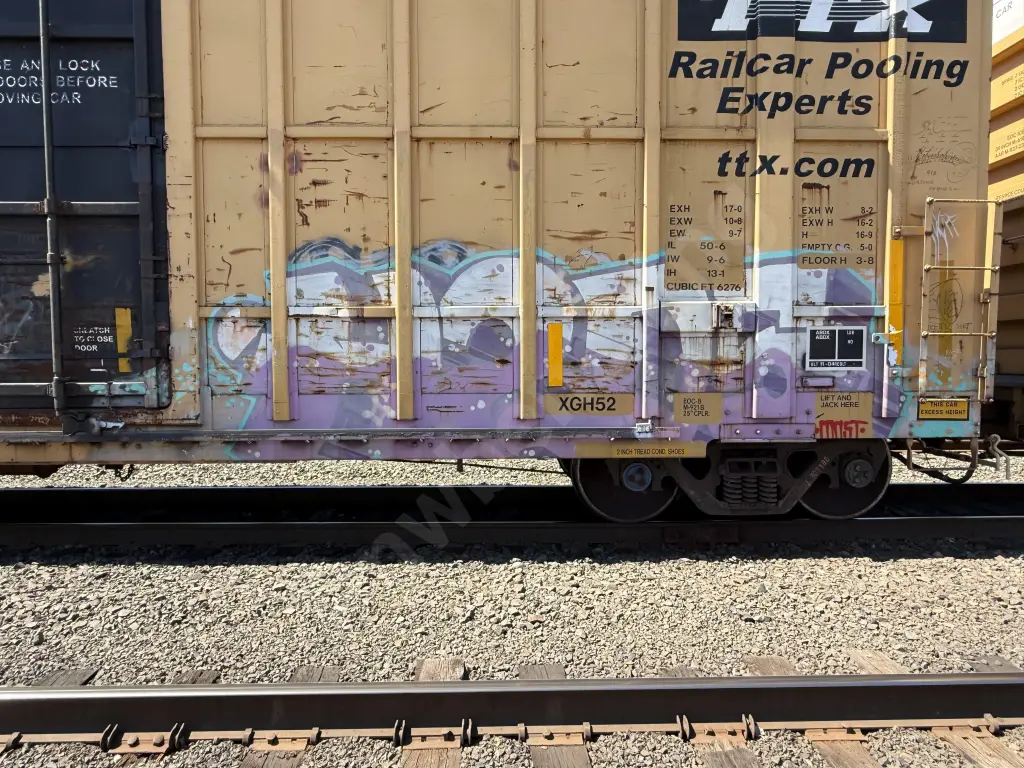 FBOX505190 - NORTH-AMERICA