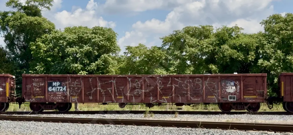 MP741724 - NORTH-AMERICA