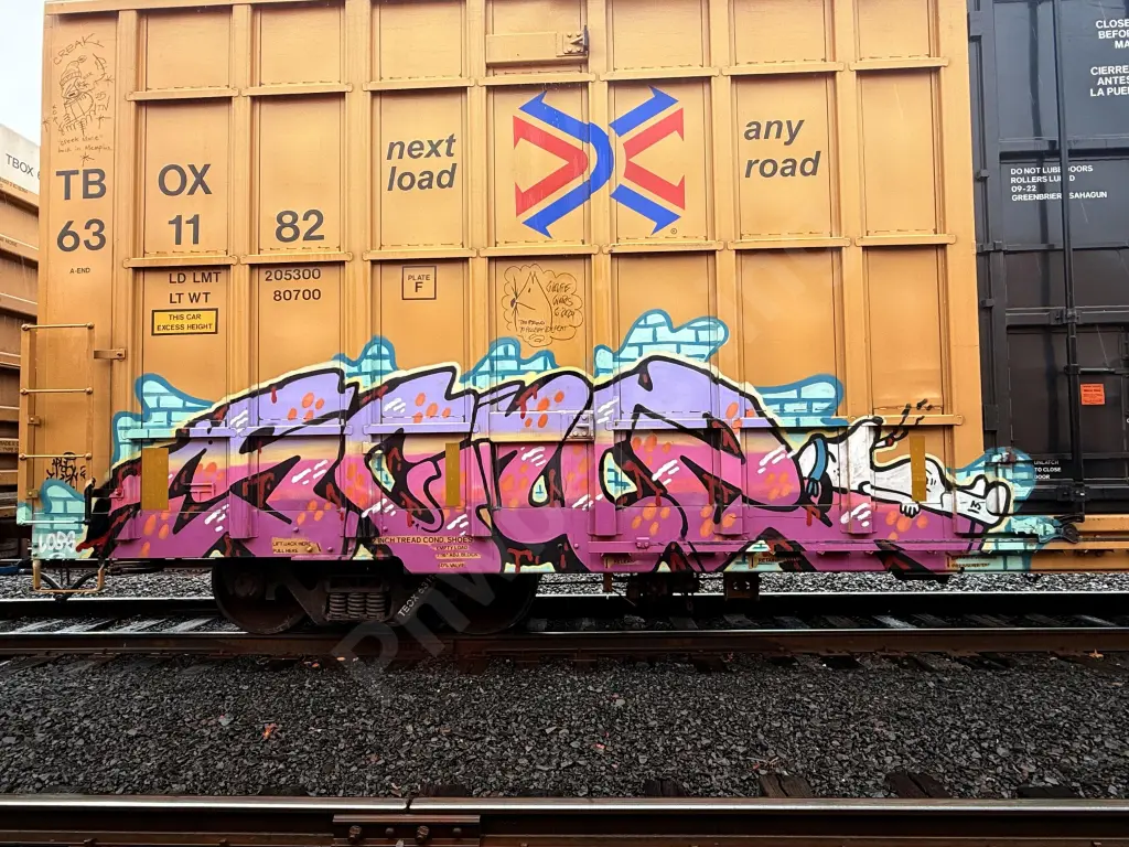 TBOX631182 - NORTH-AMERICA