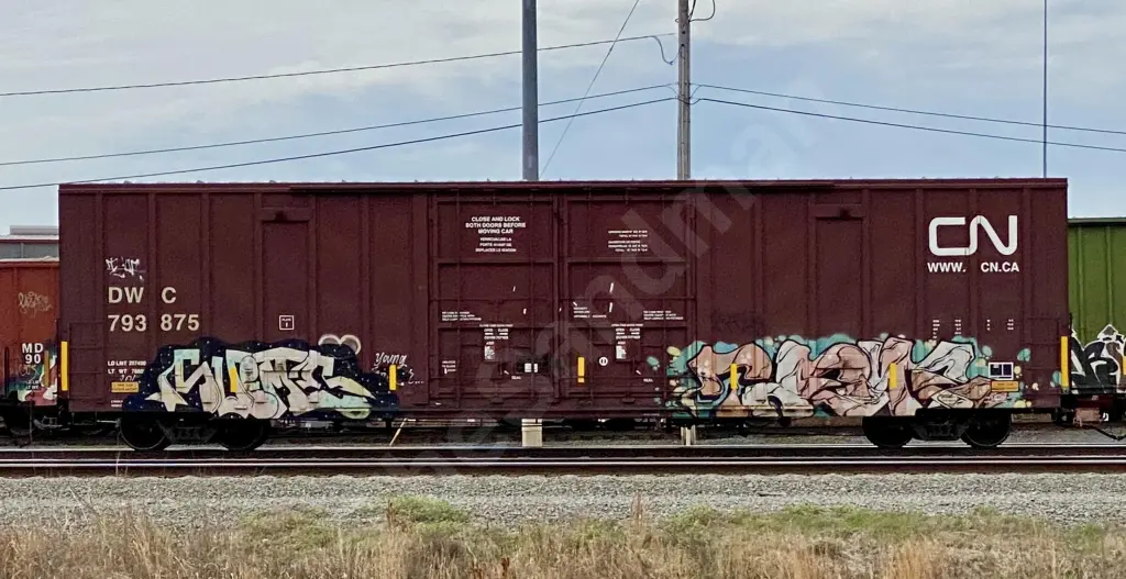 DWC793875 - NORTH-AMERICA