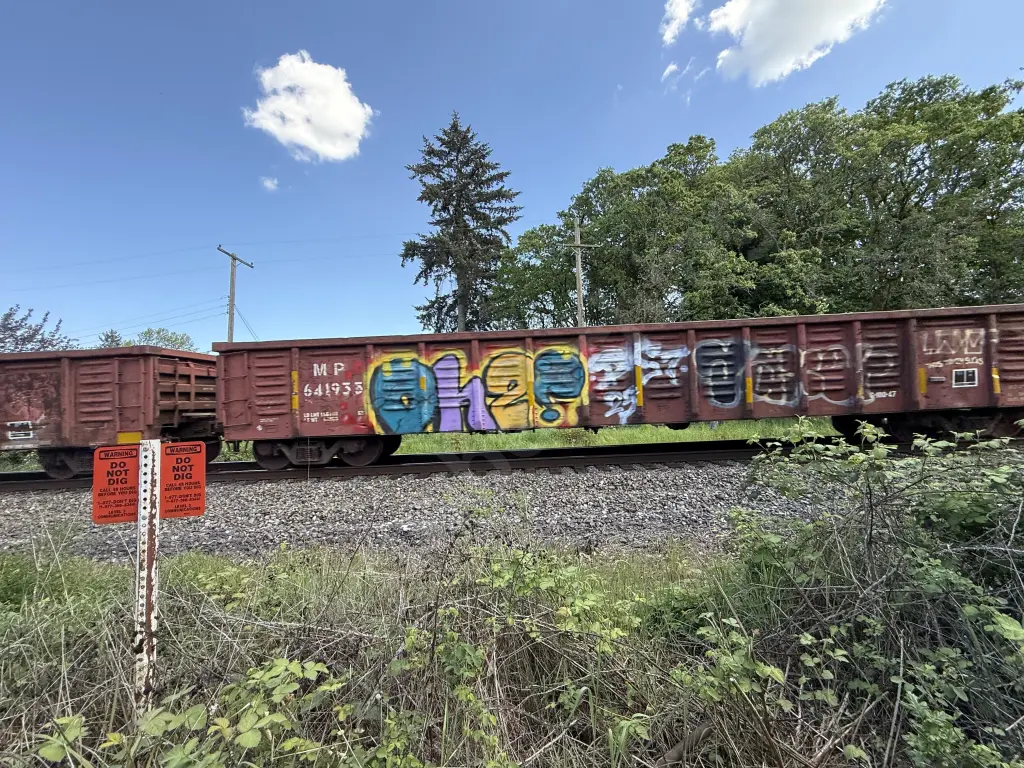 MP641933 - NORTH-AMERICA