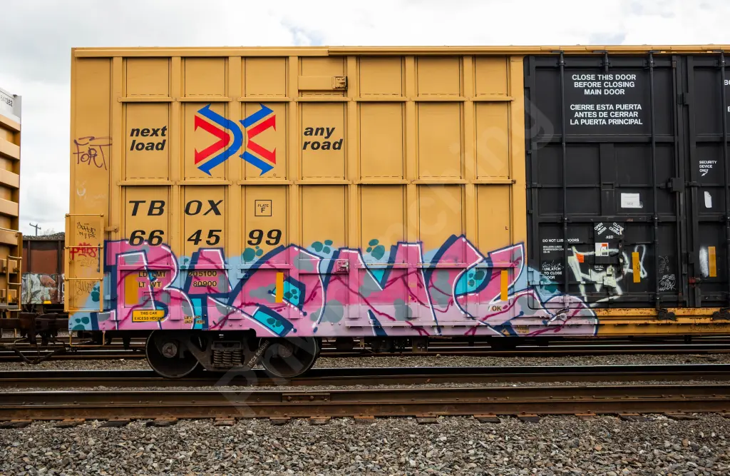 TBOX664599 - NORTH-AMERICA