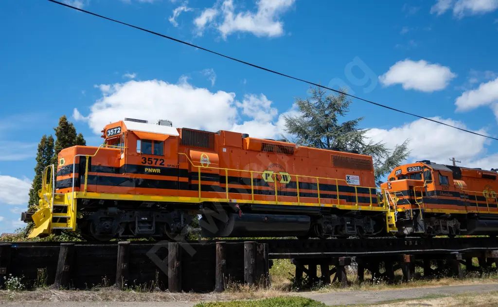 PNWR3572 - NORTH-AMERICA