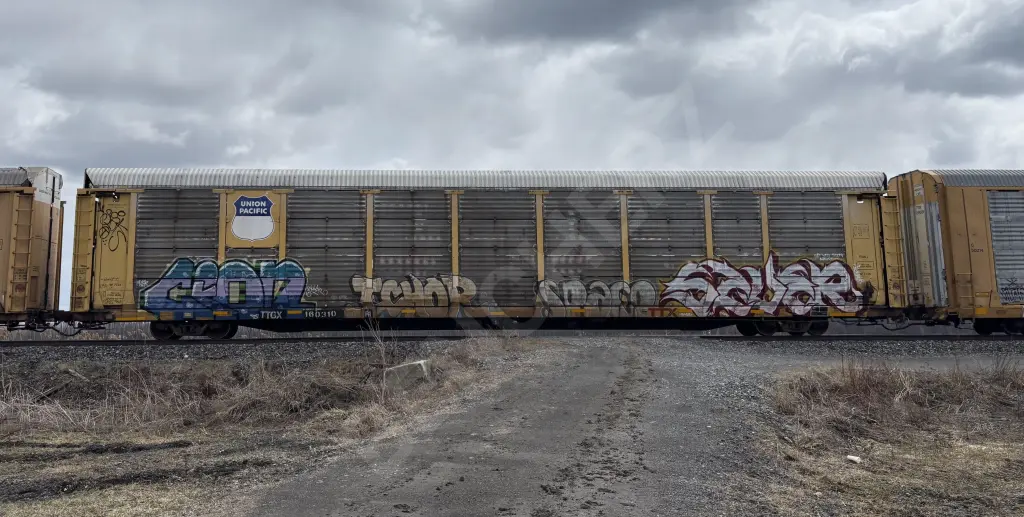 TTGX160310 - NORTH-AMERICA