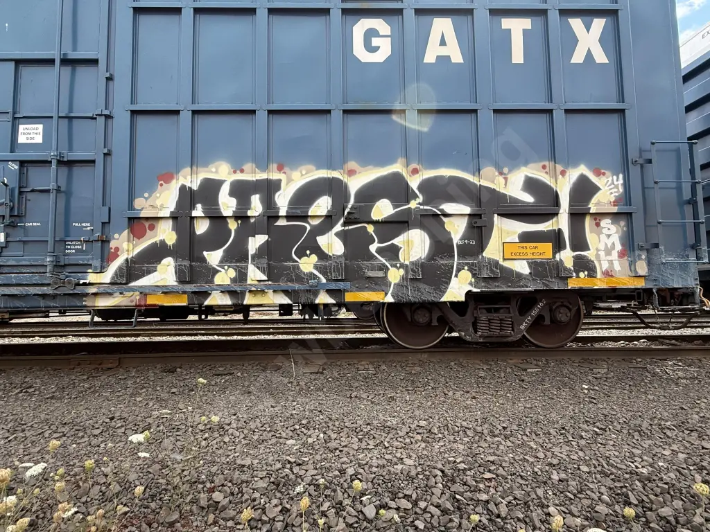 BKTY158162 - NORTH-AMERICA