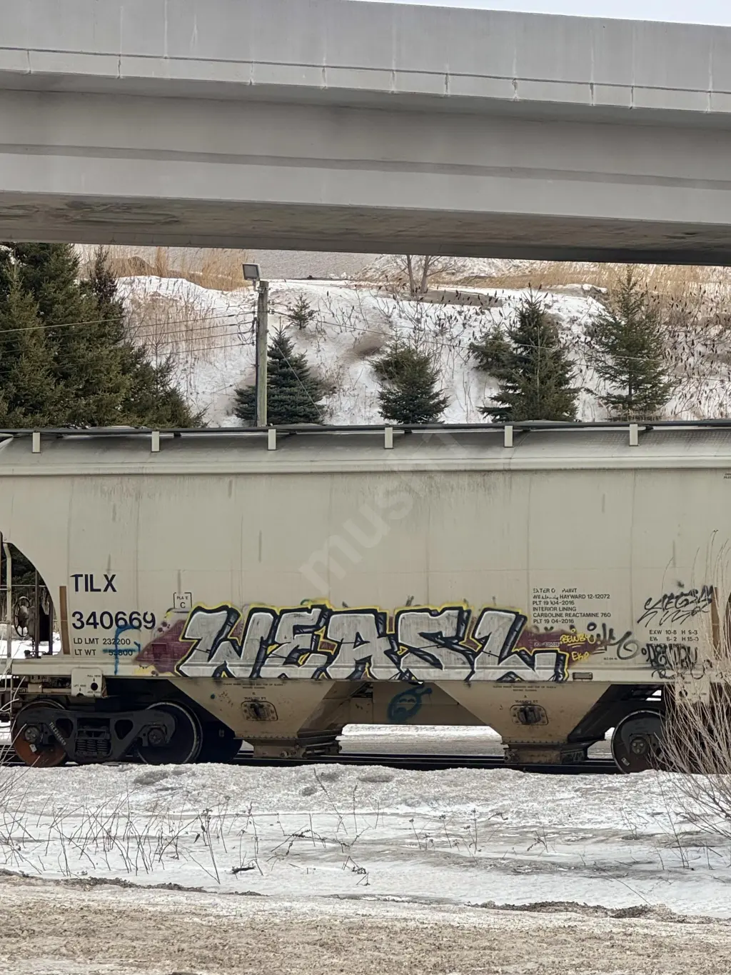 TILX340669 - NORTH-AMERICA