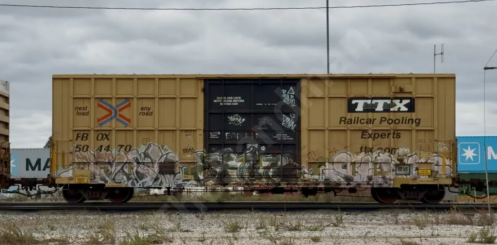 FBOX504470 - NORTH-AMERICA