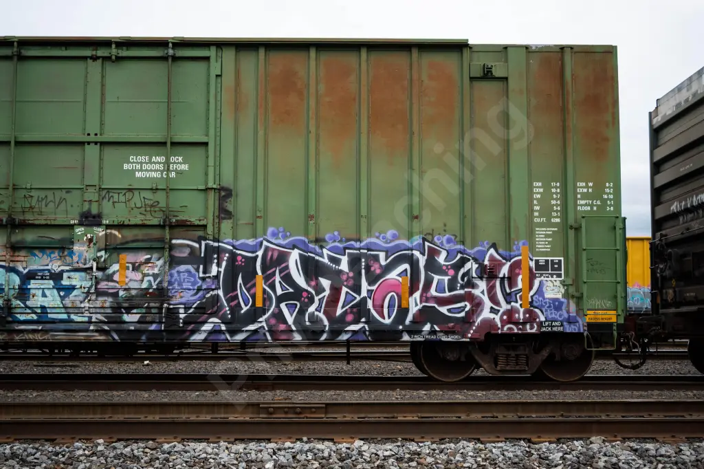 IBT18495 - NORTH-AMERICA
