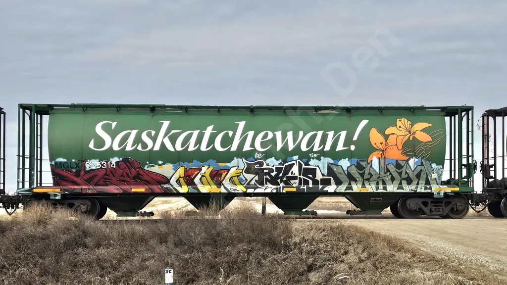 MGLX625314 - NORTH-AMERICA