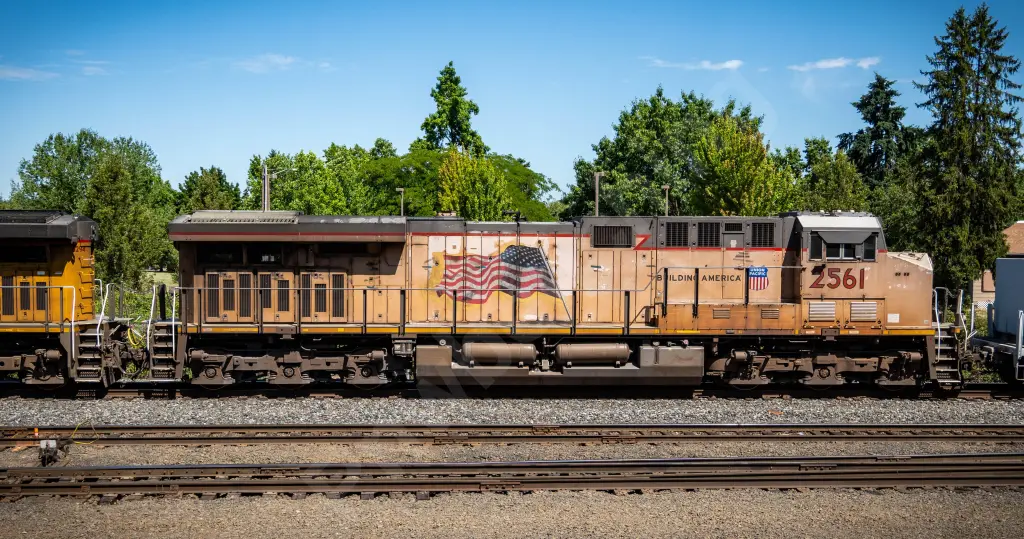 UP2561 - NORTH-AMERICA
