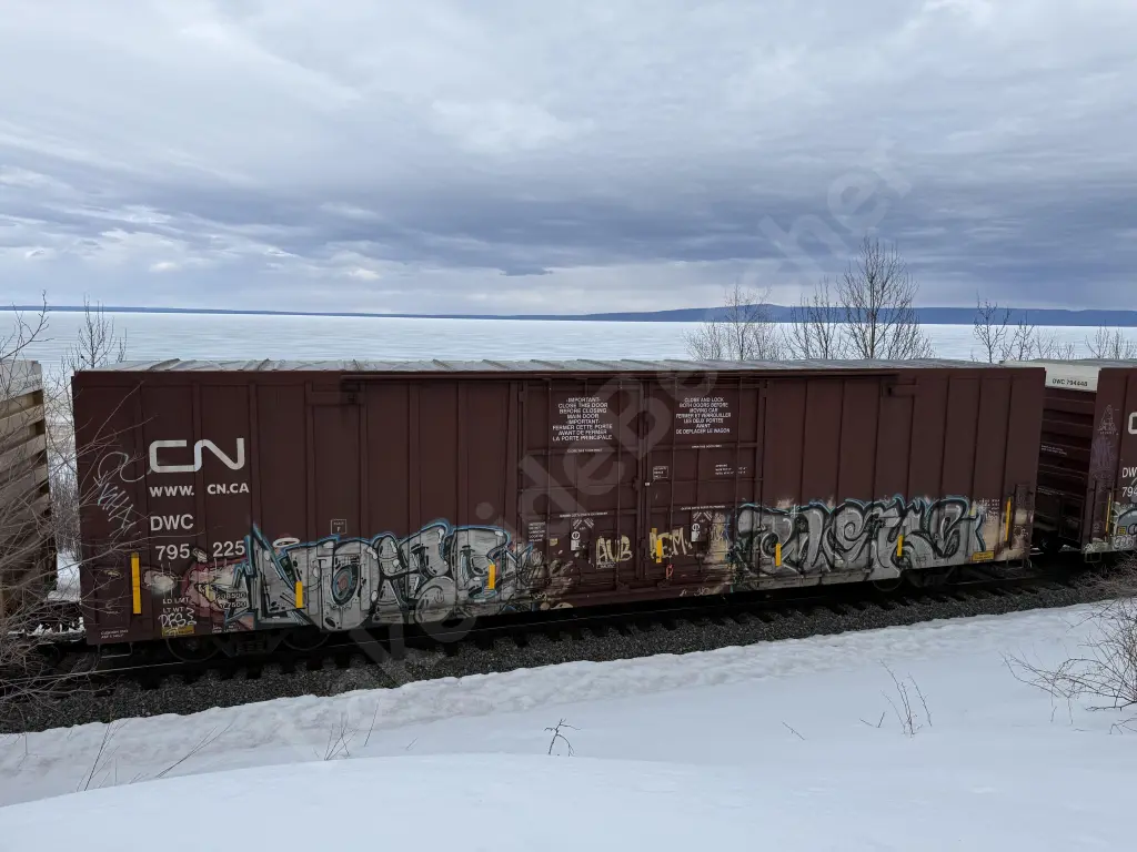DWC795225 - NORTH-AMERICA