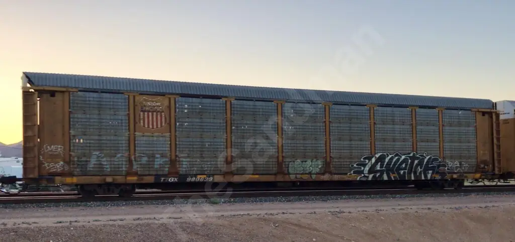 TTGX980633 - NORTH-AMERICA