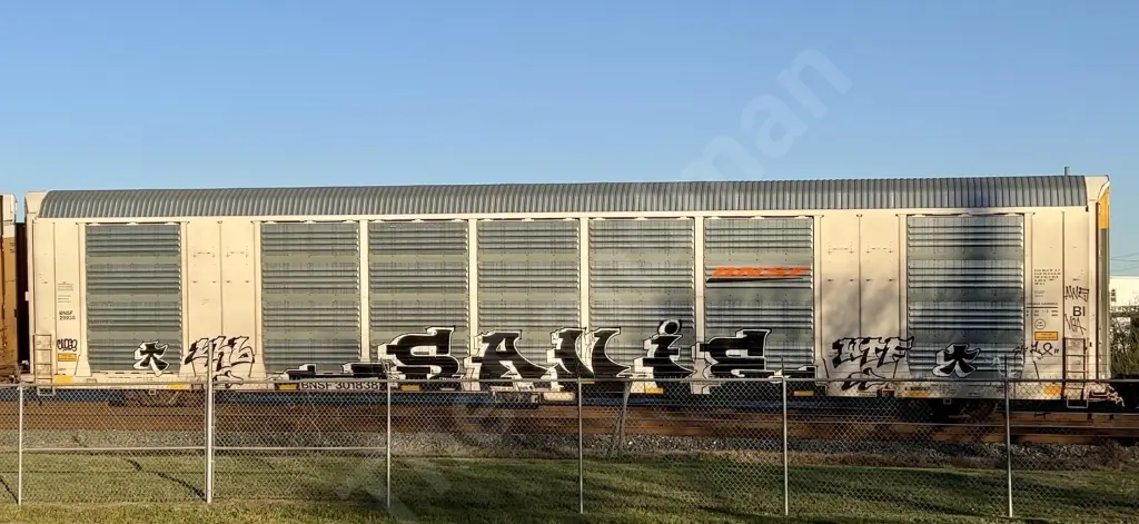 BNSF301838 - NORTH-AMERICA