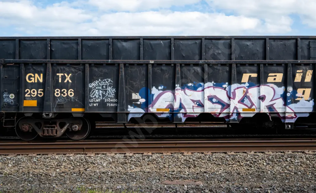 GNTX295836 - NORTH-AMERICA