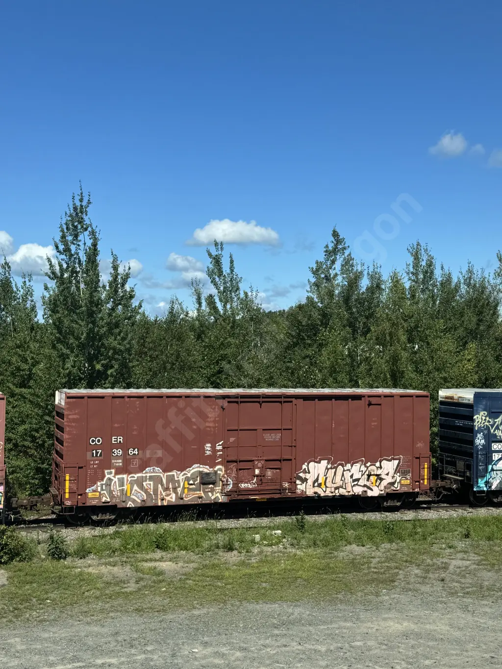 COER173964 - NORTH-AMERICA