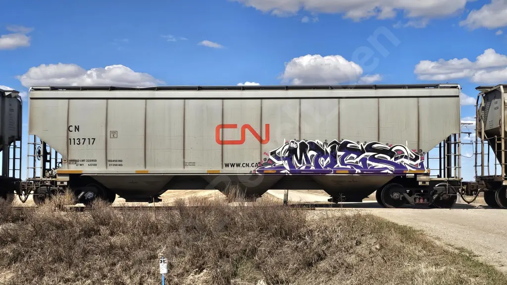 CN113717 - NORTH-AMERICA