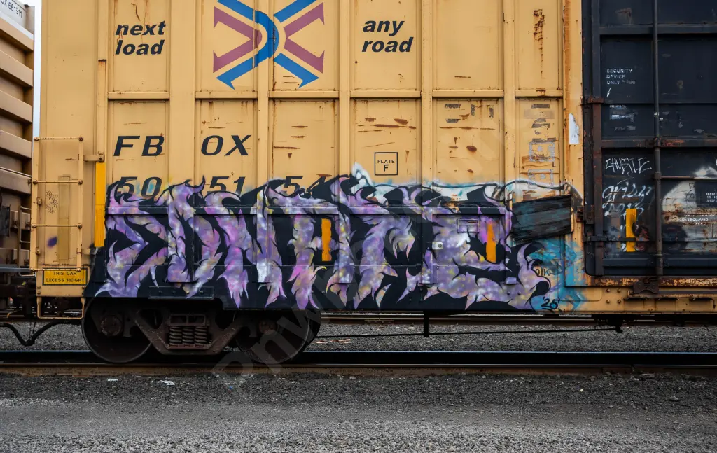 FBOX505154 - NORTH-AMERICA