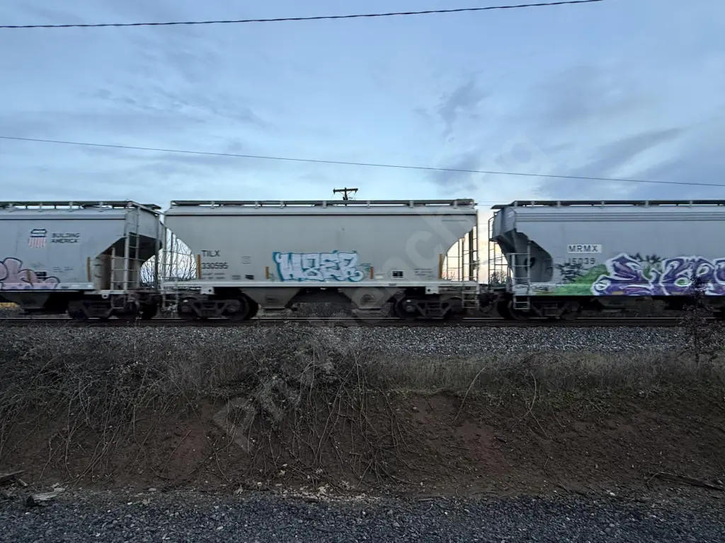 TILX330595 - NORTH-AMERICA