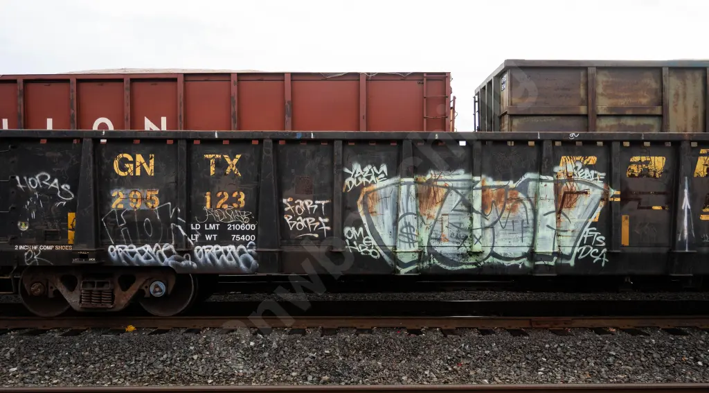 GNTX295123 - NORTH-AMERICA