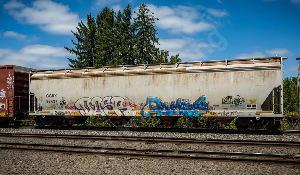 CCBX58437 - NORTH-AMERICA