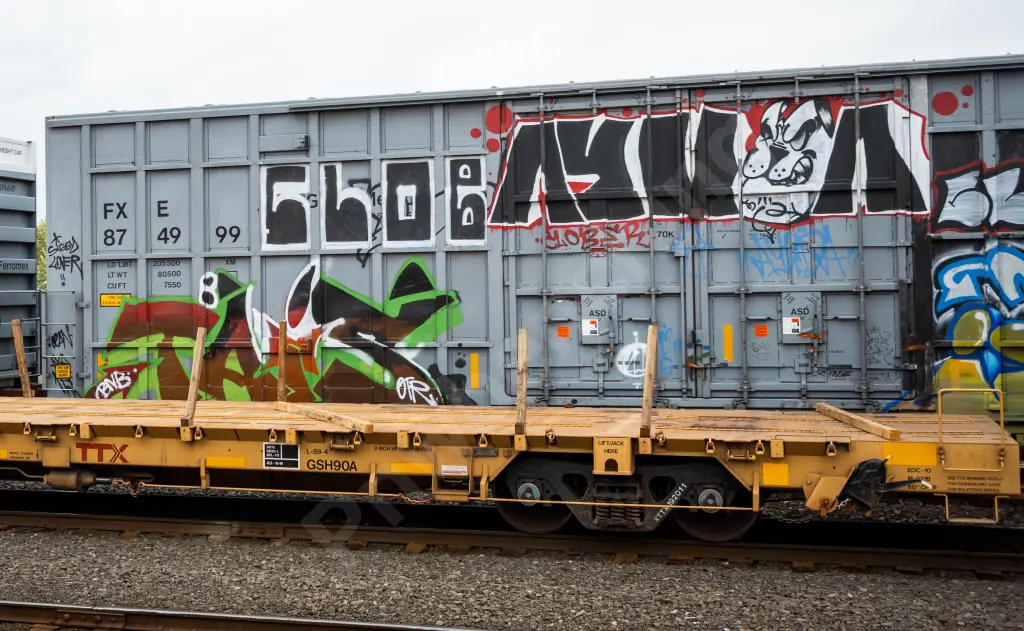 Train photo